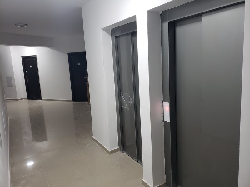 Drumul Taberei, Tricodava, Parc Moghioros